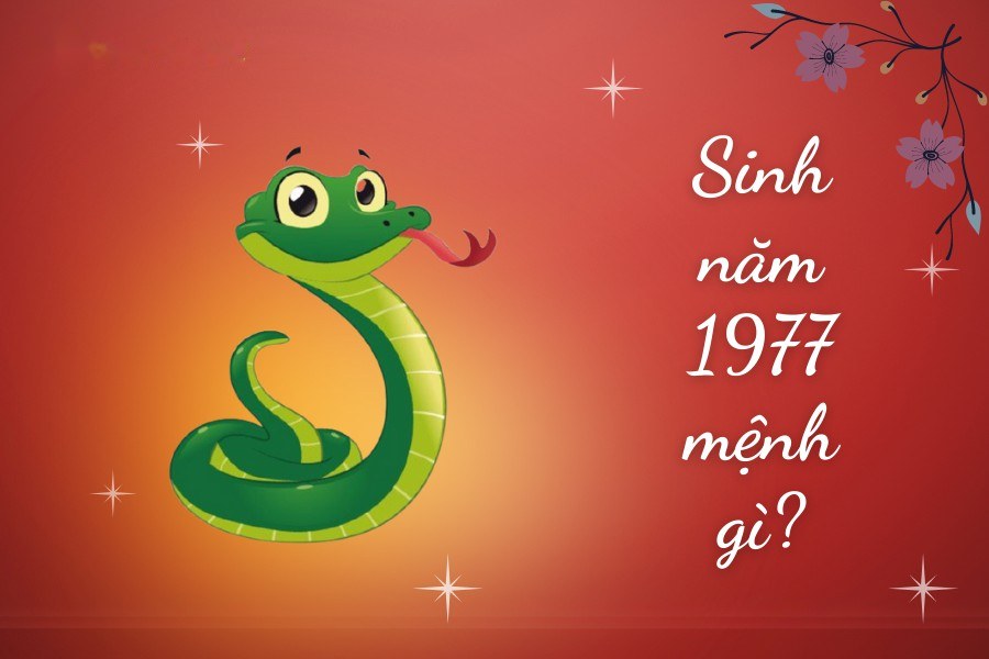 Đinh Tỵ 1977 hợp mệnh gì