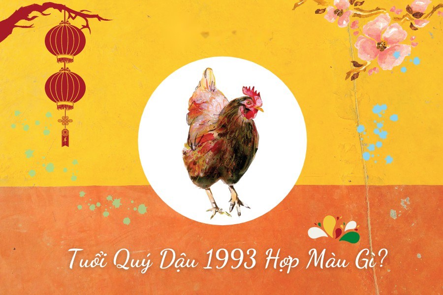 1993 hợp màu gì?