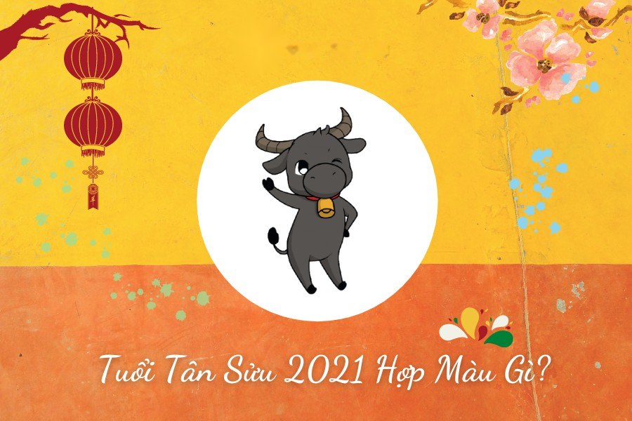 Sinh năm 2001 hợp màu gì
