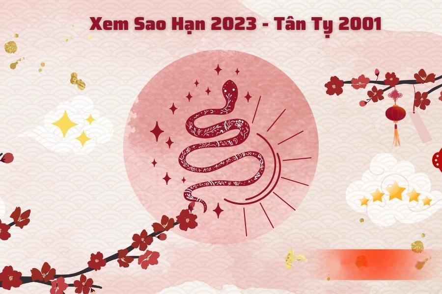 Sao chiếu mệnh nữ tuổi Tỵ 2001 năm Quý Mão