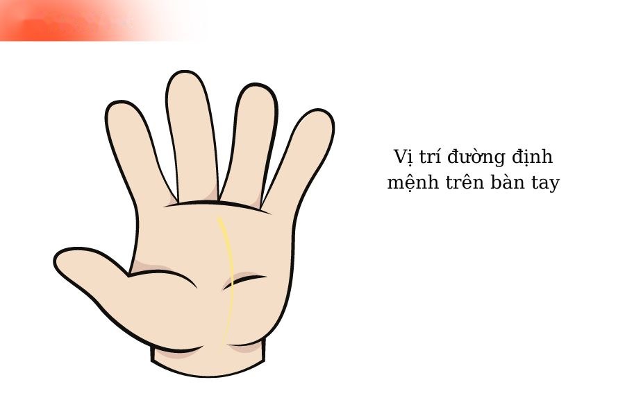 Vị trí đường định mệnh trên bàn tay
