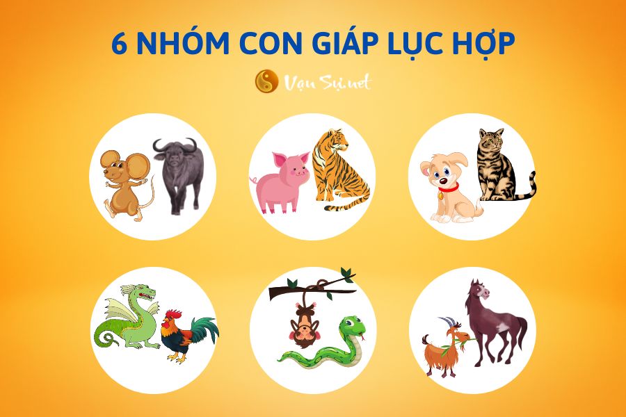 Bộ 6 nhóm con giáp lục hợp