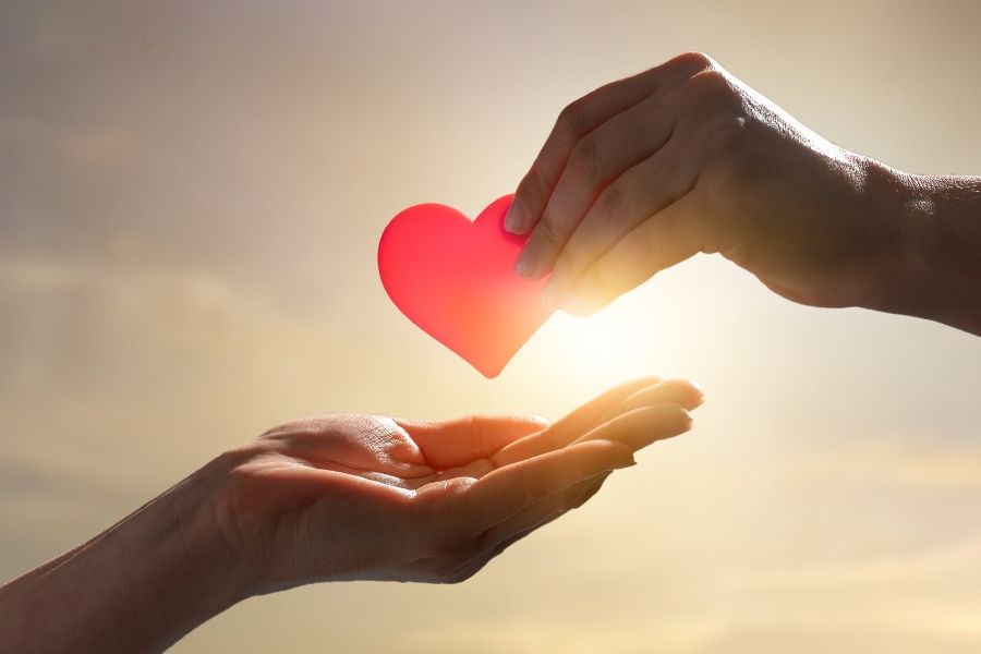 Chuyện tình cảm của người tuổi Tý