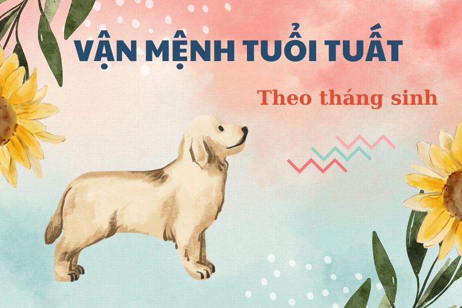 Tử vi người tuổi Tuất theo tháng sinh