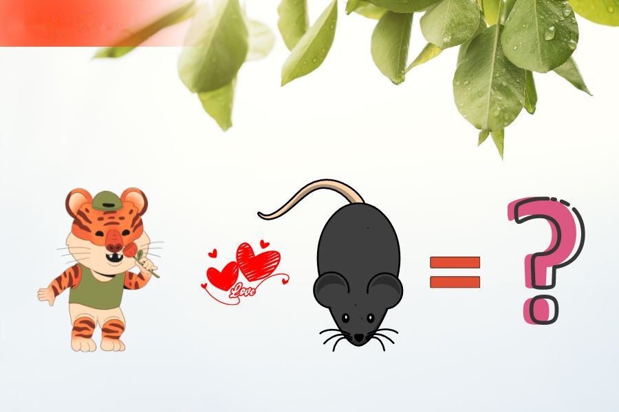 4. Tương hợp và xung khắc giữa người tuổi Tý và các tuổi khác 1