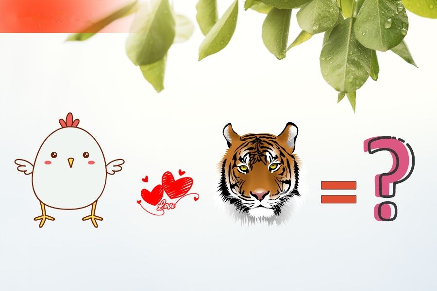 5. Tương hợp và xung khắc giữa người tuổi Dần và các tuổi khác 5