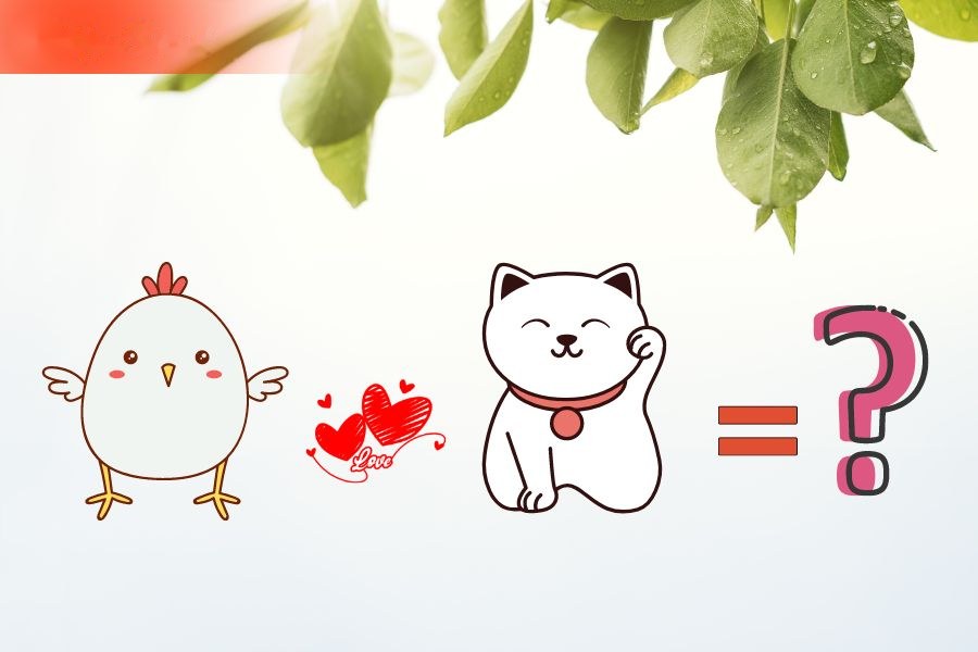 6. Tương hợp và xung khắc giữa người tuổi Mão và các tuổi khác 5