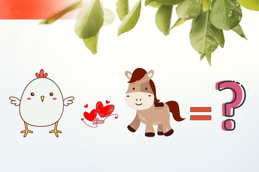 7. Tình duyên của người tuổi Ngọ với các tuổi khác 2