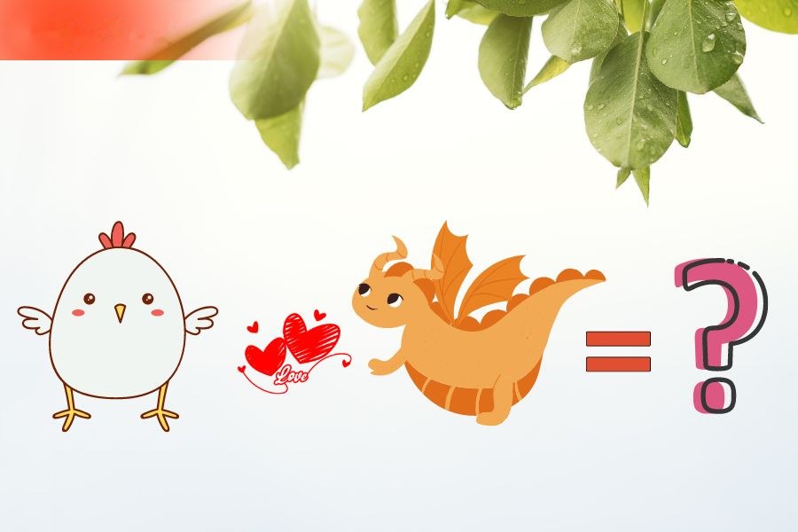 6. Tương hợp và xung khắc giữa người tuổi Thìn và các tuổi khác 4