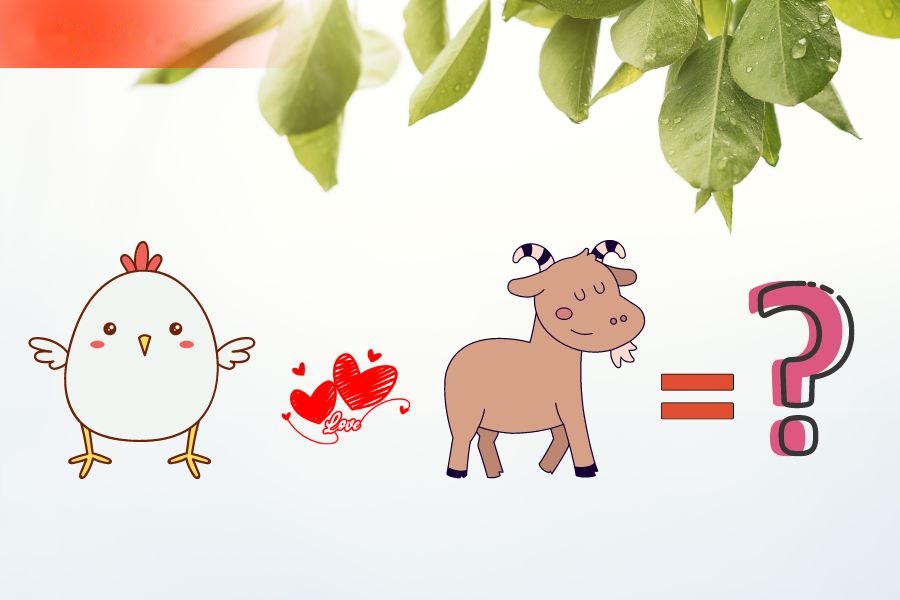 6. Tương hợp và xung khắc giữa người tuổi Mùi và các tuổi khác