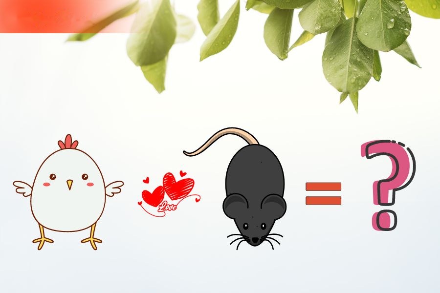 4. Tương hợp và xung khắc giữa người tuổi Tý và các tuổi khác 8