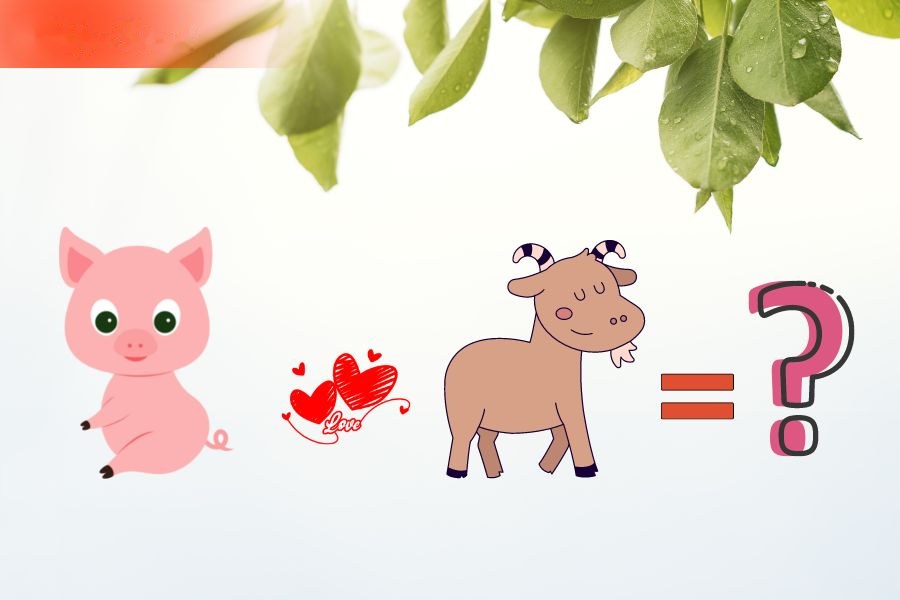 Tuổi Hợi và tuổi Mùi