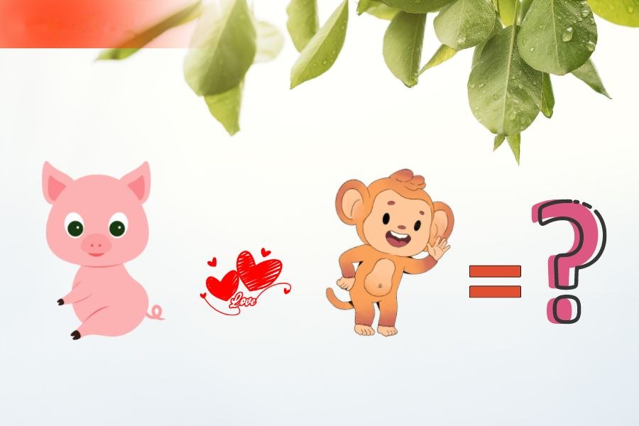Tuổi Hợi và tuổi Thân
