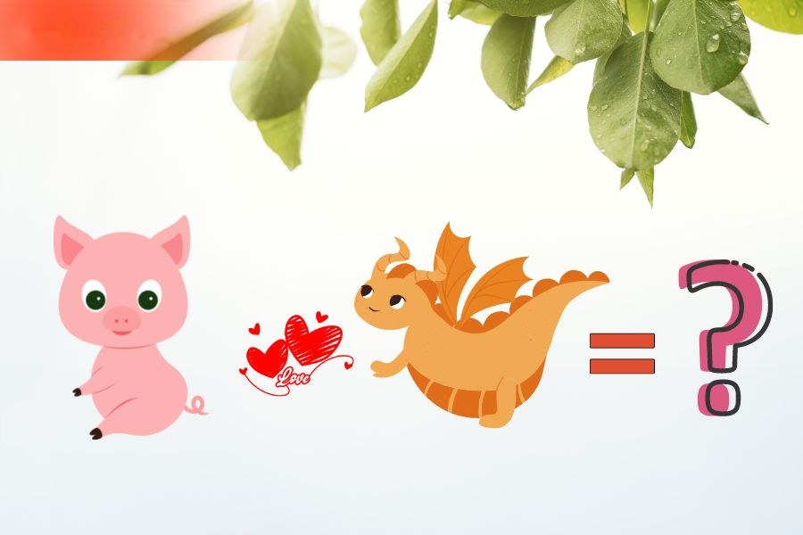 6. Tương hợp và xung khắc giữa người tuổi Thìn và các tuổi khác 6