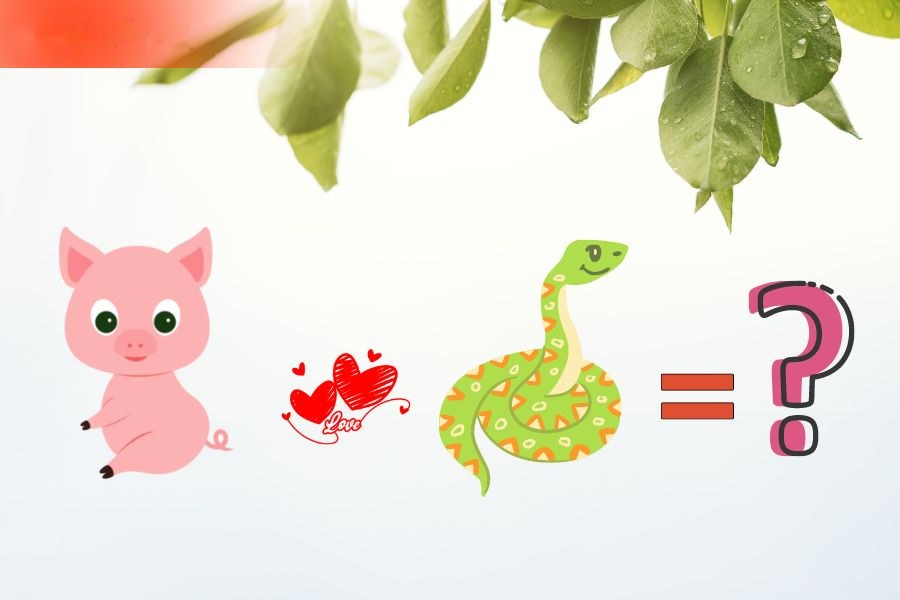 Tuổi Hợi và Tị
