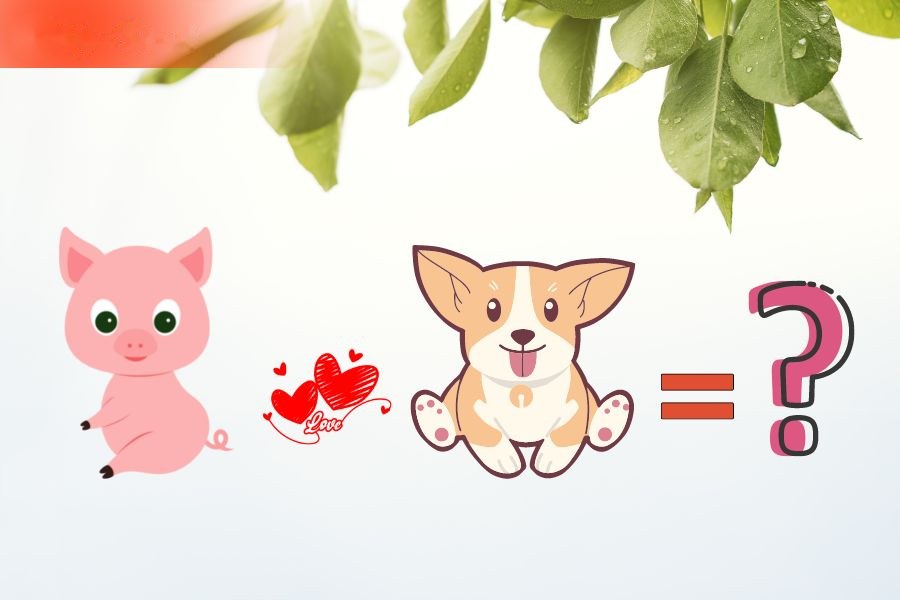 7. Tương hợp và xung khắc giữa người tuổi Tuất và các tuổi khác