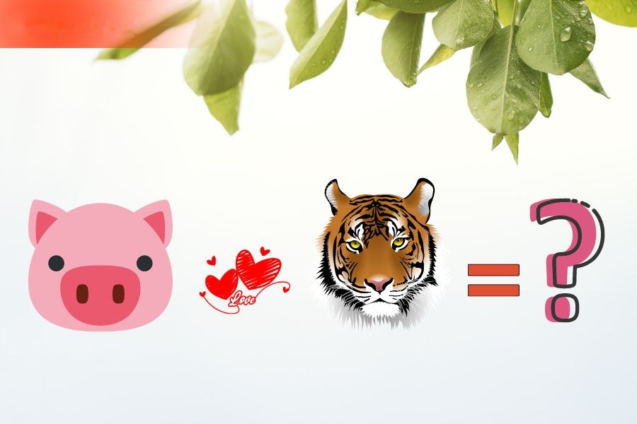 Tuổi Hợi và tuổi Dần