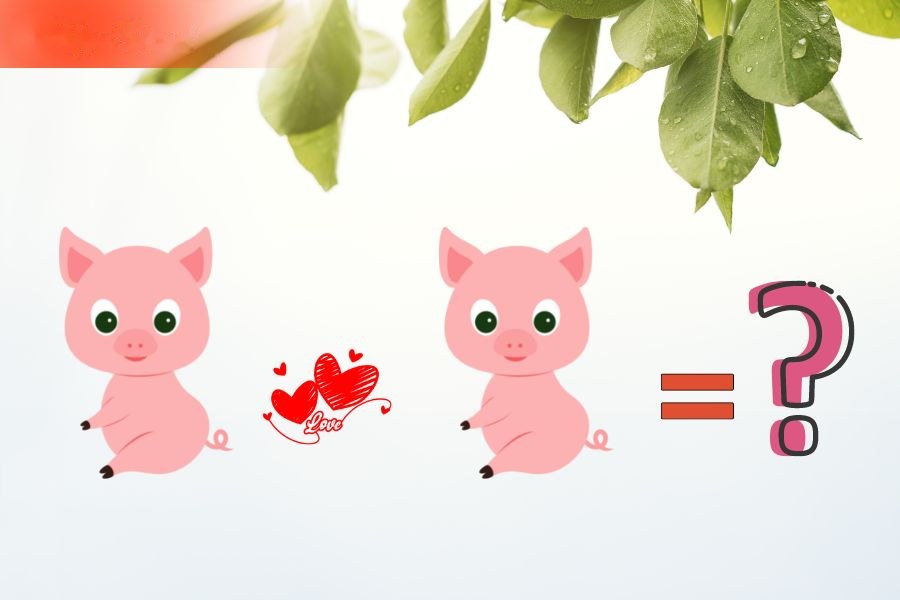 Tuổi Hợi và tuổi Hợi