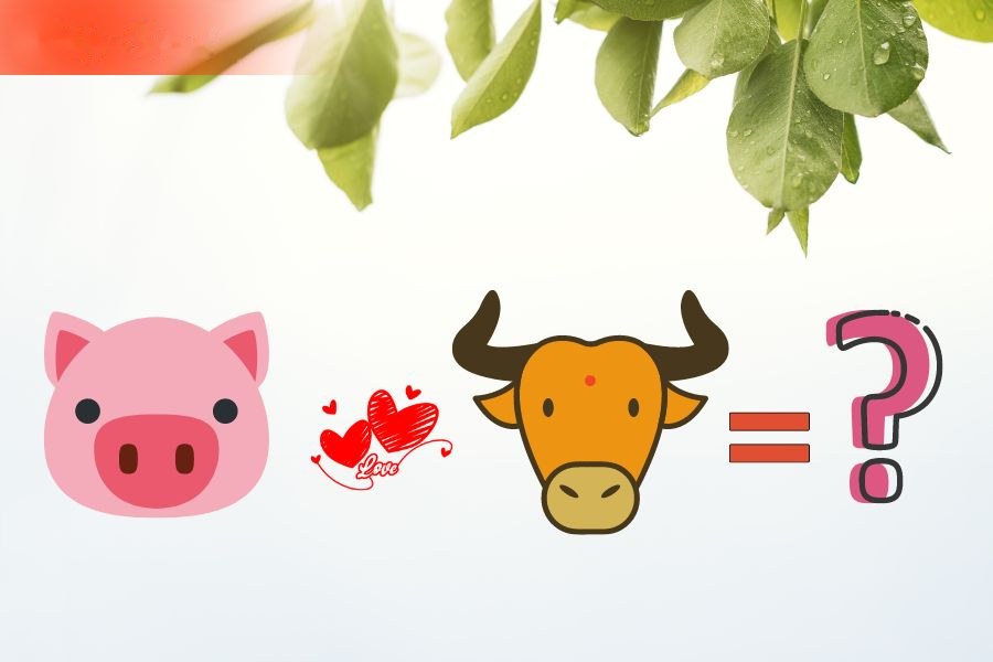 Tuổi Hợi và tuổi Sửu