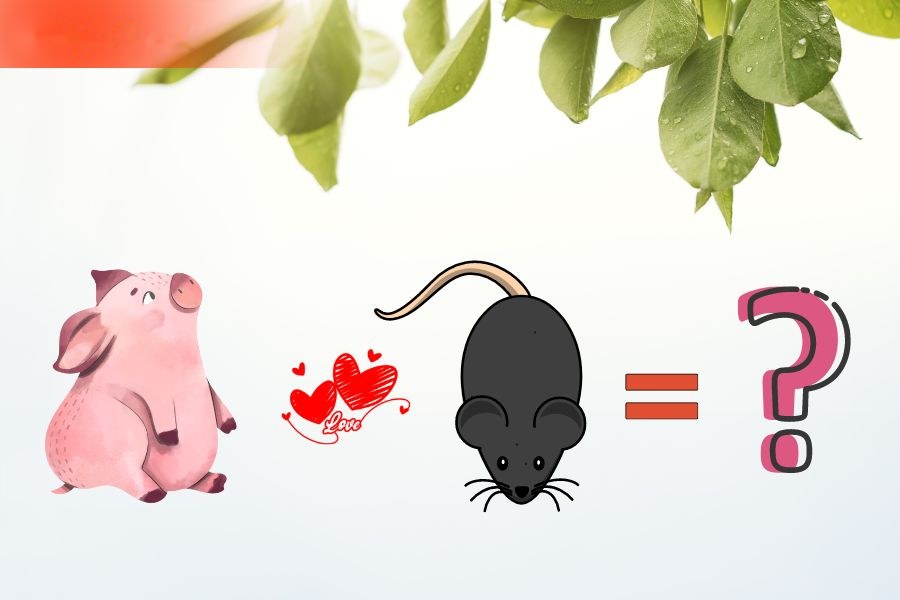 Tuổi Hợi và tuổi Tý
