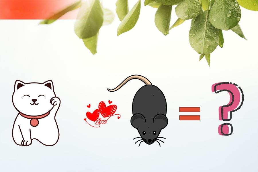 Tuổi Mão và tuổi Tí