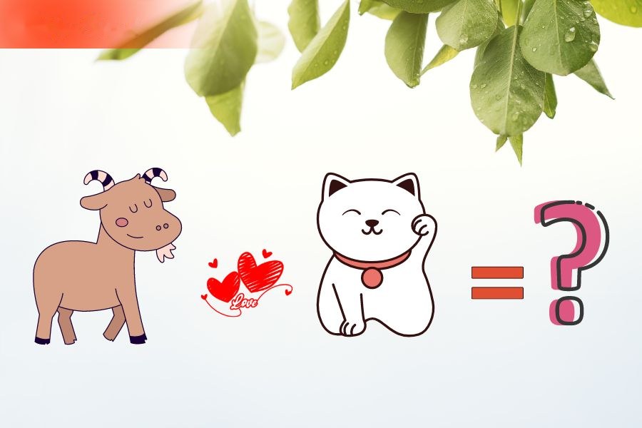 6. Tương hợp và xung khắc giữa người tuổi Mão và các tuổi khác 3