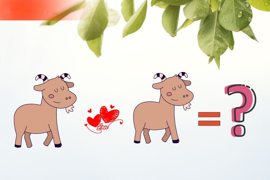 Tuổi Mùi và tuổi Mùi