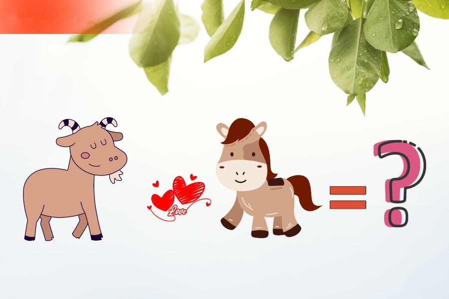 7. Tình duyên của người tuổi Ngọ với các tuổi khác