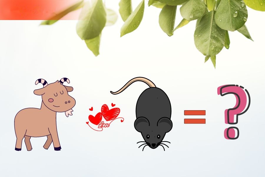 4. Tương hợp và xung khắc giữa người tuổi Tý và các tuổi khác 6