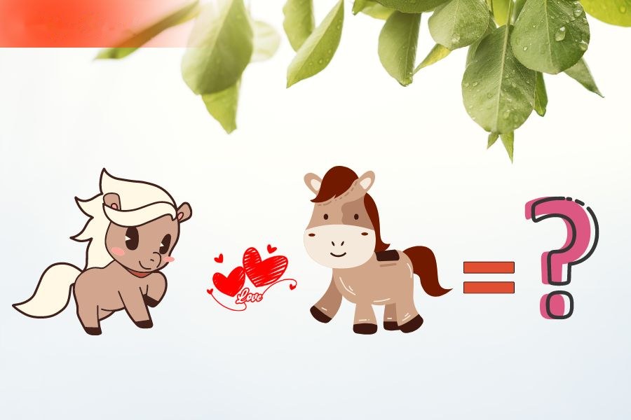 Tuổi Ngọ và tuổi Ngọ