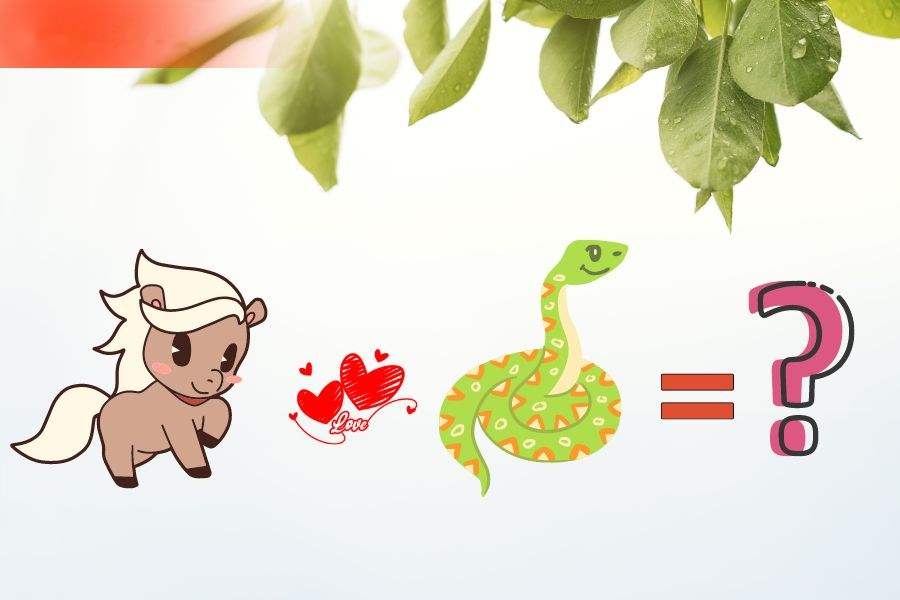 Tuổi Ngọ và tuổi Tị