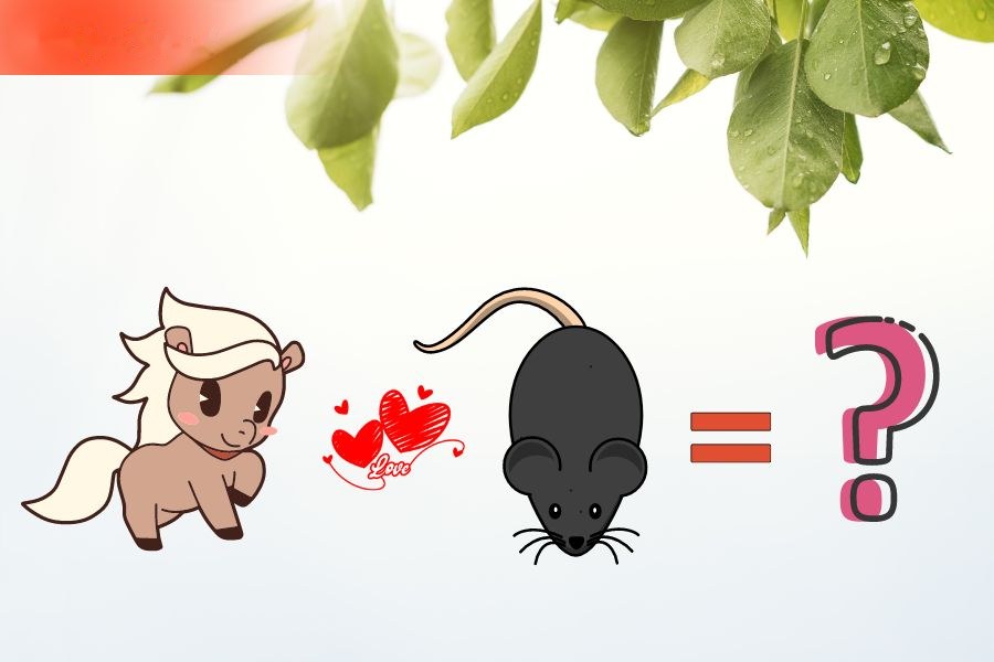 Tuổi Ngọ và tuổi Tý