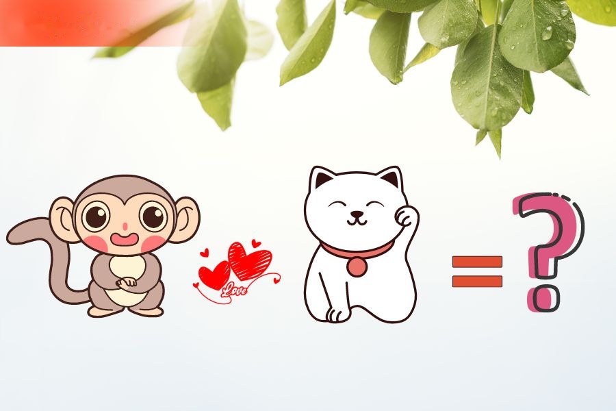 6. Tương hợp và xung khắc giữa người tuổi Mão và các tuổi khác 4