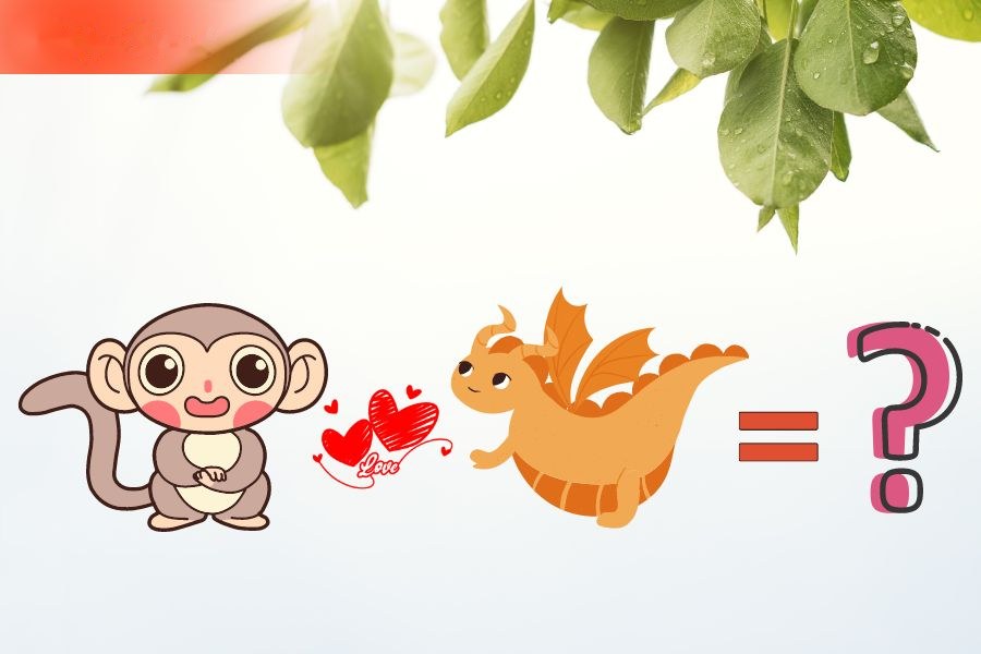 6. Tương hợp và xung khắc giữa người tuổi Thìn và các tuổi khác 3