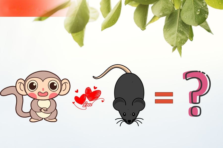 4. Tương hợp và xung khắc giữa người tuổi Tý và các tuổi khác 7