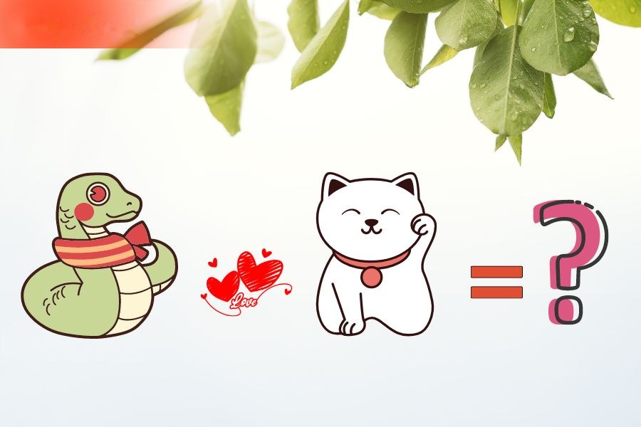 6. Tương hợp và xung khắc giữa người tuổi Mão và các tuổi khác 1