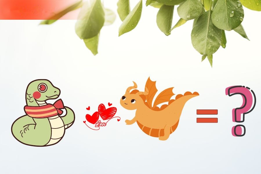 6. Tương hợp và xung khắc giữa người tuổi Thìn và các tuổi khác