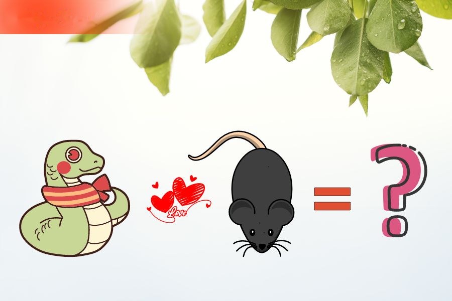 4. Tương hợp và xung khắc giữa người tuổi Tý và các tuổi khác 4
