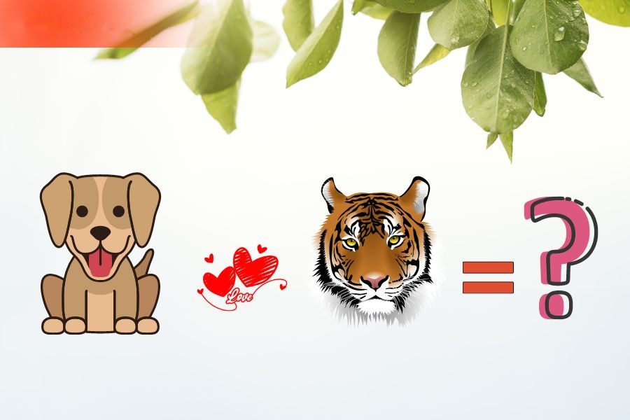 Tuổi Tuất và Dần