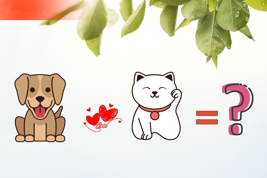 Tuổi Tuất và tuổi Mão