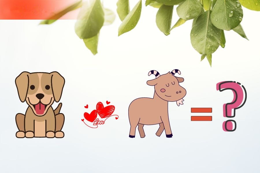 Tuổi Tuất và tuổi Mùi