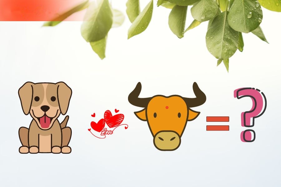 Tuổi Tuất và tuổi Sửu
