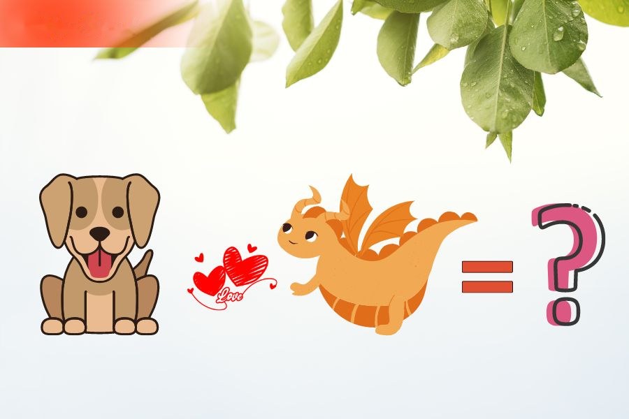 6. Tương hợp và xung khắc giữa người tuổi Thìn và các tuổi khác 5