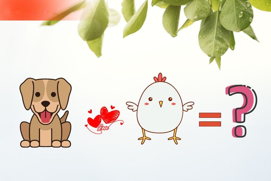 Tuổi Tuất và tuổi Dậu