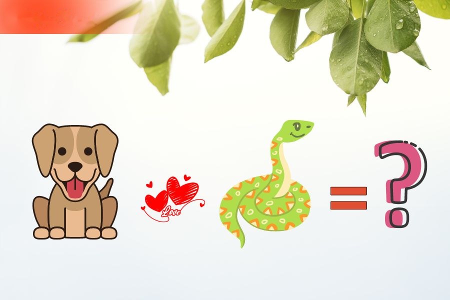 Tuổi Tuất và tuổi Tị
