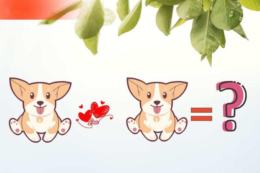 Tuổi Tuất và tuổi Tuất