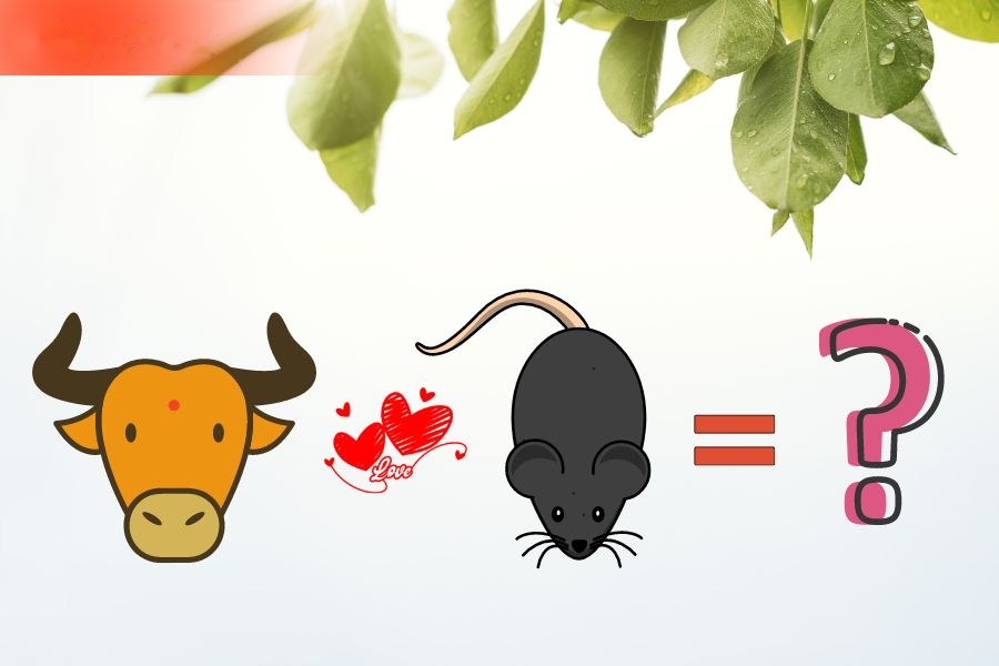4. Tương hợp và xung khắc giữa người tuổi Tý và các tuổi khác