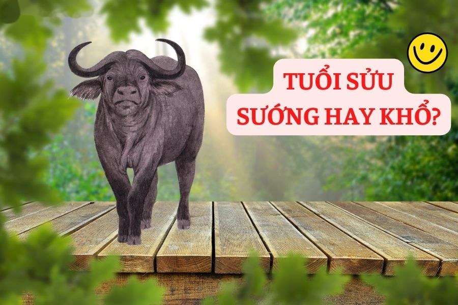 Vận mệnh tuổi Sửu qua ngày sinh