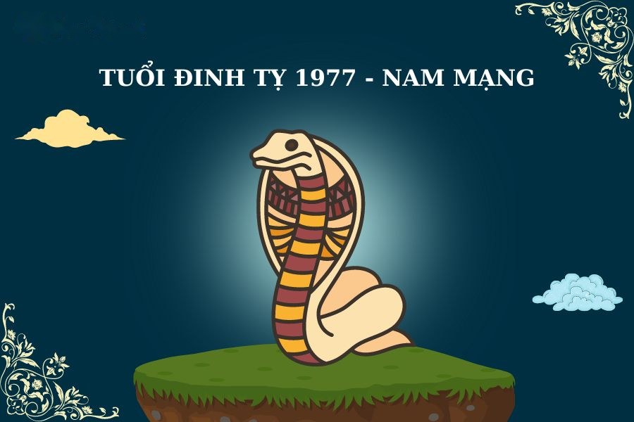 Xem vận mệnh Đinh Tỵ 1977