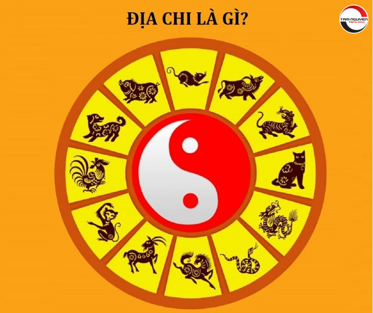 Địa chi là gì?
